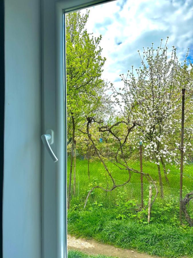 Zion Home Sybin Zewnętrze zdjęcie